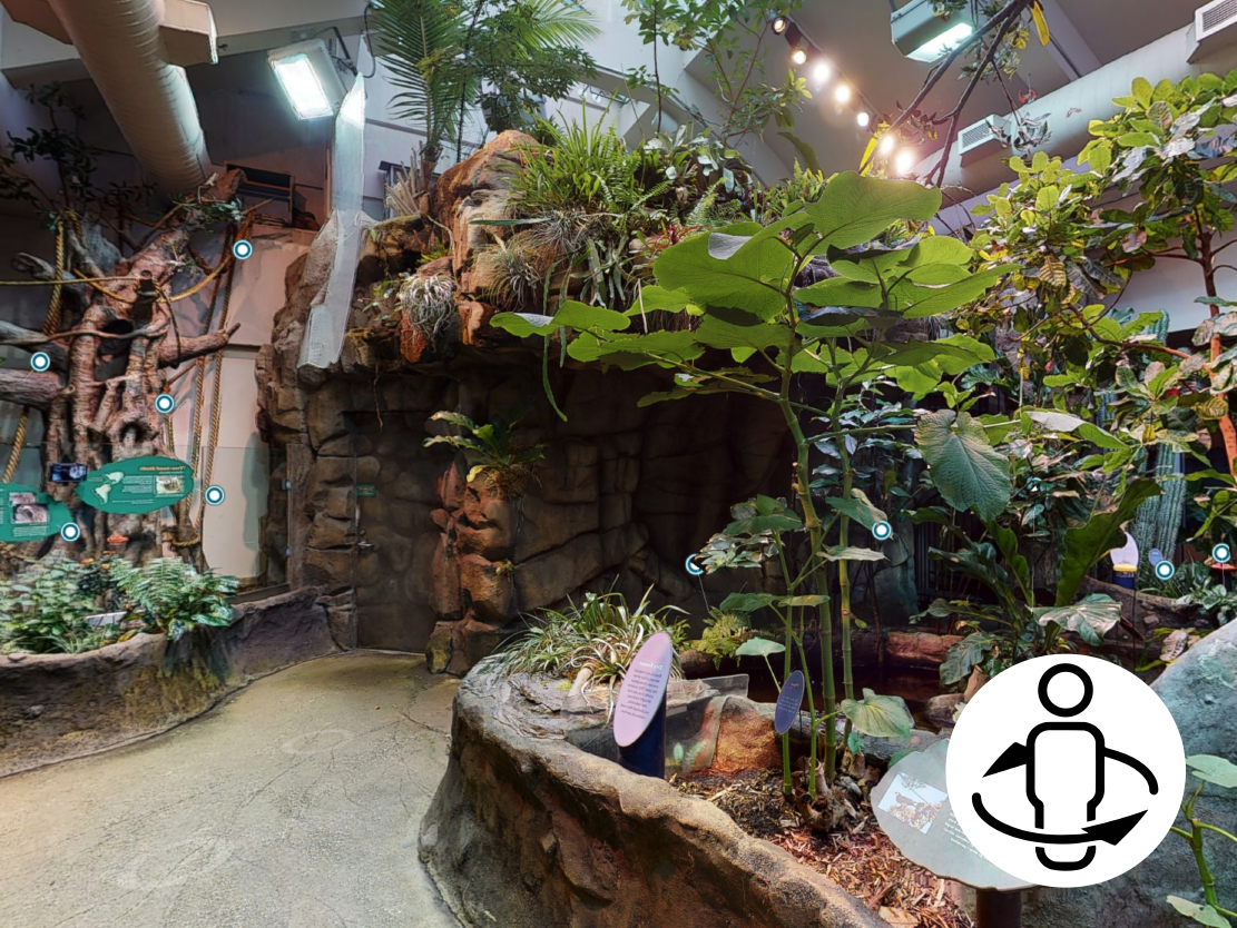 Living Conservatory Virtual Tour